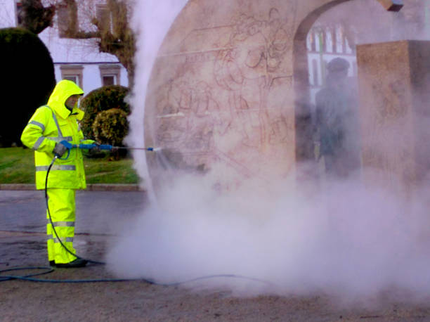 Best Roof Power Washing Services  in Home Gardens, CA