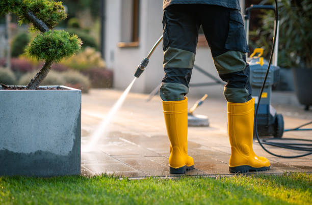 Best Local Pressure Washing Services  in Home Gardens, CA